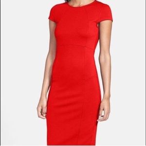 NWT Fitted Nordstrom “Felicity & Coco” Midi Dress